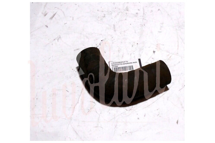MANICOTTO INFERIORE RADIATORE MOTORE (CURV0 38X150)