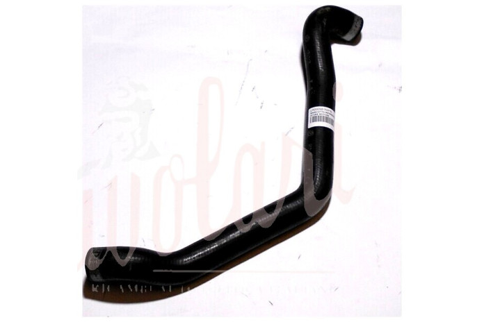 MANICOTTO INFERIORE RADIATORE MOTORE