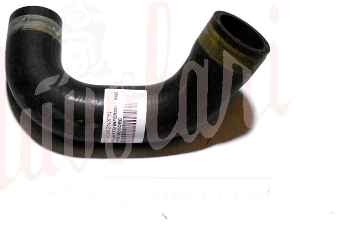 MANICOTTO INFERIORE RADIATORE MOTORE