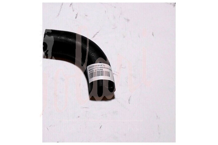 MANICOTTO INFERIORE RADIATORE MOTORE