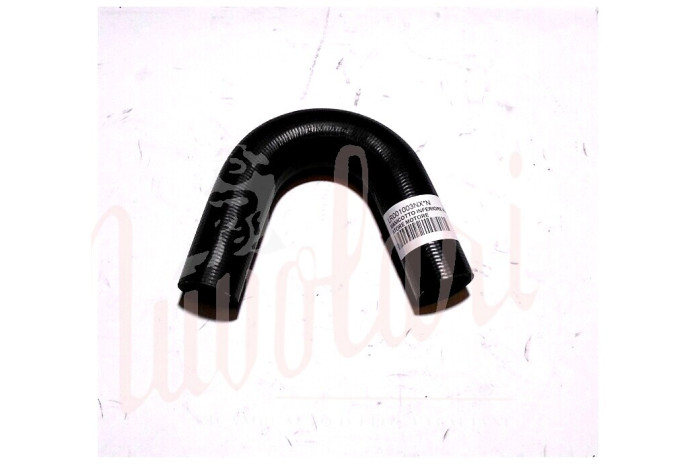 MANICOTTO INFERIORE RADIATORE MOTORE