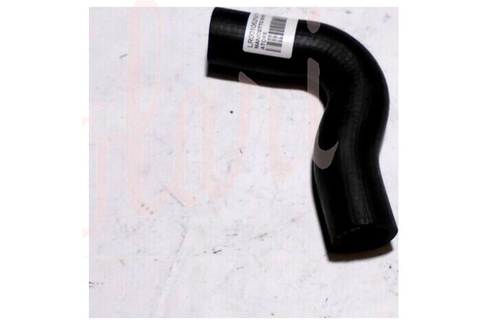 MANICOTTO SUPERIORE RADIATORE RADIATORE