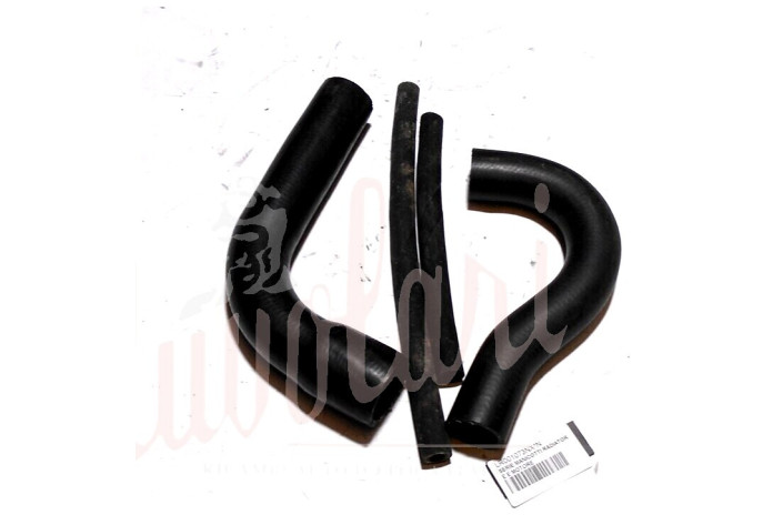 SERIE MANICOTTI RADIATORE E MOTORE