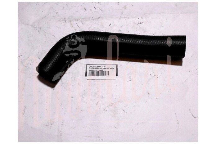 MANICOTTO INFERIORE RADIATORE MOTORE