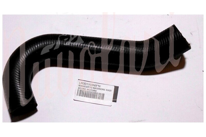 MANICOTTO INFERIORE RADIATORE MOTORE