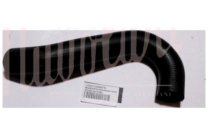 MANICOTTO INFERIORE RADIATORE MOTORE