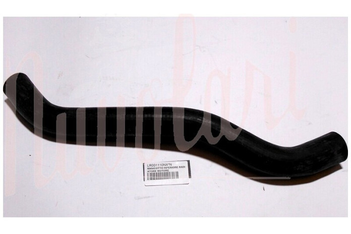 MANICOTTO INFERIORE RADIATORE MOTORE