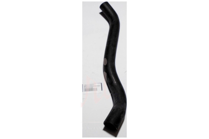 MANICOTTO INFERIORE RADIATORE MOTORE