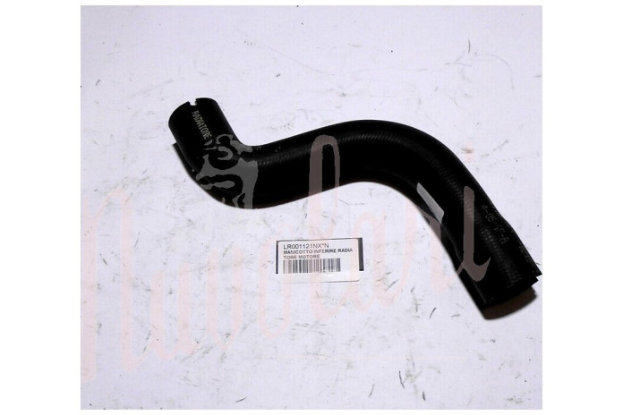 MANICOTTO INFERIRE RADIATORE MOTORE