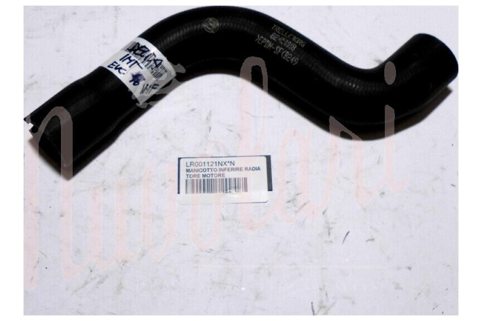 MANICOTTO INFERIRE RADIATORE MOTORE