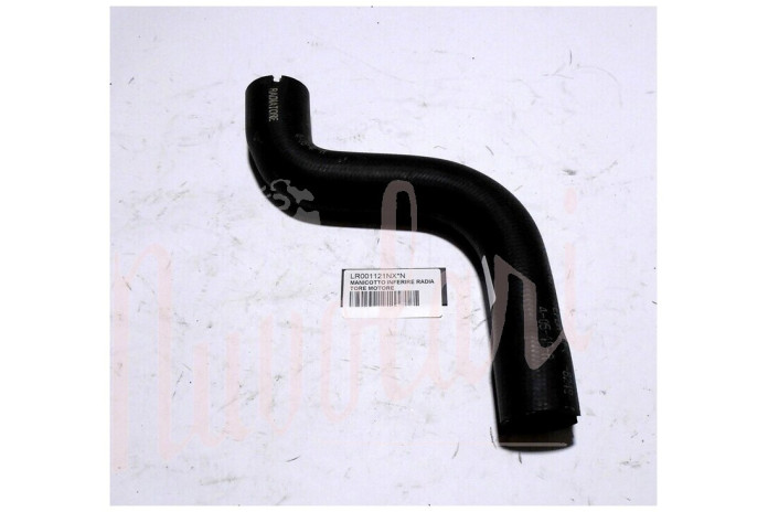 MANICOTTO INFERIRE RADIATORE MOTORE