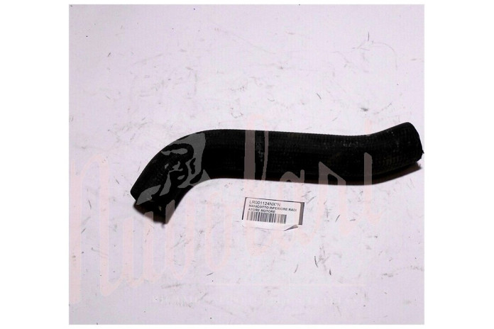 MANICOTTO INFERIORE RADIATORE MOTORE