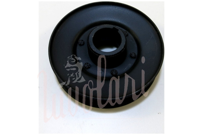 PULEGGIA ALBERO MOTORE