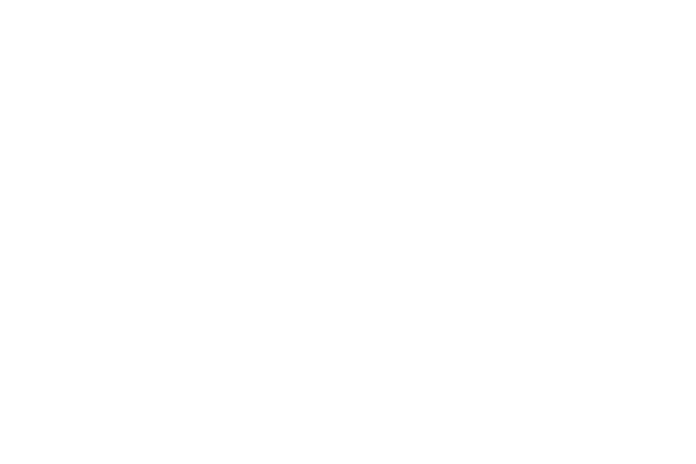 LENTE ANTERIORE BIANCA TIPO LUNGA