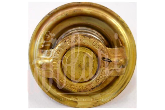TERMOSTATO SAVARA D/54mm 87°