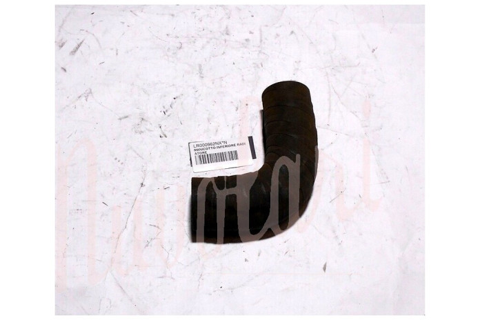 MANICOTTO INFERIORE RADIATORE MOTORE (CURV0 38X150)