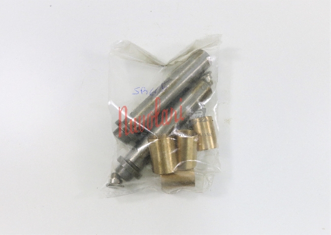 KIT PERNI BRACCI SUPERIORI O INFERIORI D. 22 O 24 FIAT 1100 E /  UPPER OR LOWER ARM PINS KIT-0