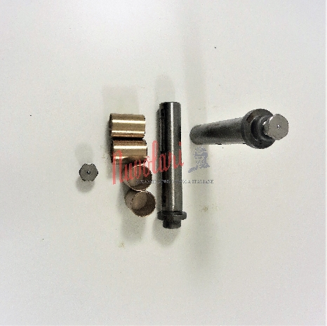 KIT PERNI BRACCI SUPERIORI O INFERIORI D. 22 O 24 FIAT 1100 E /  UPPER OR LOWER ARM PINS KIT-1