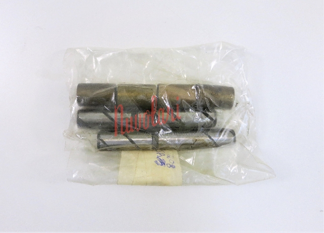 PERNI FUSI CON BOCCOLE FIAT 500 L / FUSED PINS WITH BUSHES-1