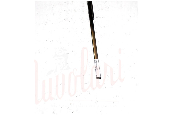 CORNICE RASCHIAVETRO ESTERNO PORTA ANT (COMPLETA Cent 74.5)