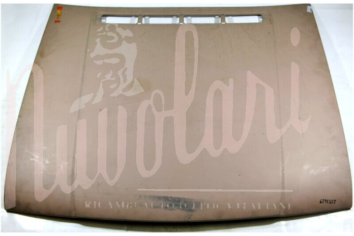 COFANO ANTERIORE ORIGINALE